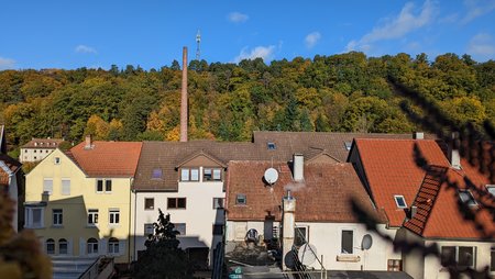 PXL_20211022_091310901.jpg