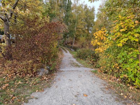 20211025_162123.jpg
