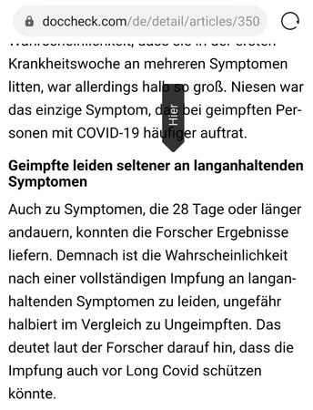 3.Artikel 1 - Ausschnitt.jpg