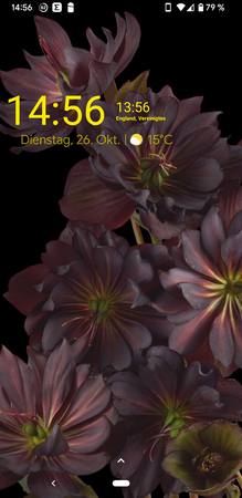 Screenshot_20211026-145621.png
