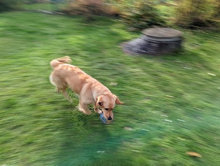 PXL_20211027_131524981.MOTION-01.COVER.jpg