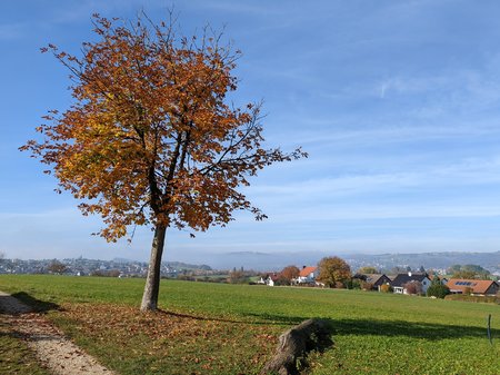 PXL_20211027_110542564.jpg