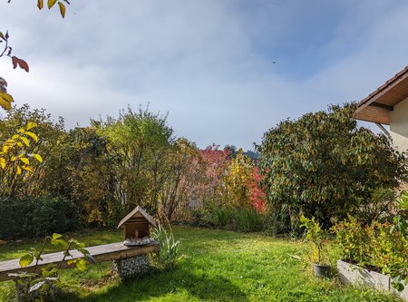 PXL_20211027_102741397.jpg