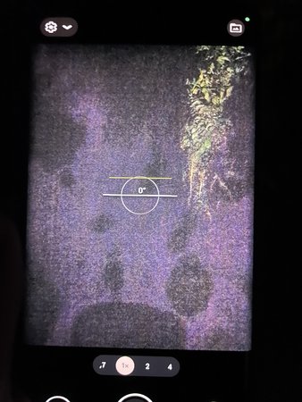 56C3932E-04E1-413C-BA4D-244EBD4C5DDA.jpeg