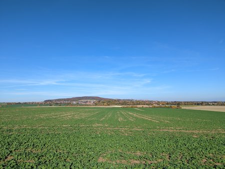 PXL_20211028_102430882.jpg