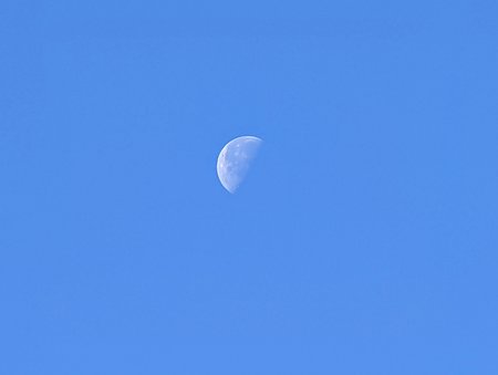PXL_20211028_090408337~3.jpg