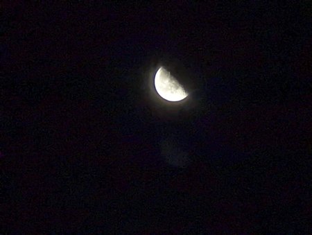 PXL_20211028_034722577.jpg