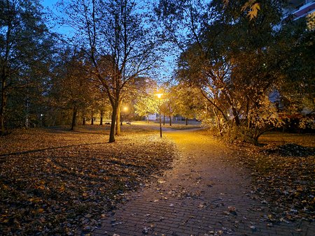 20211028_182335.jpg