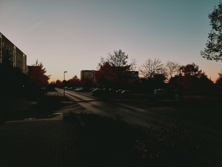 20211028_180501.jpg