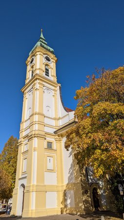 PXL_20211028_124500844.jpg