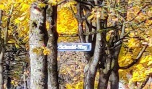 IMG_20211028_143650~2.jpg