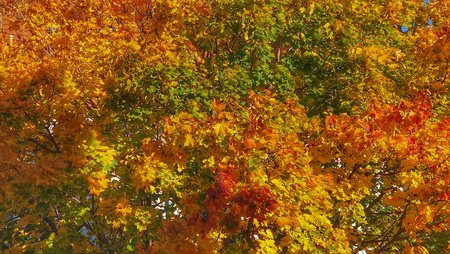 DSC_0002-01.jpeg