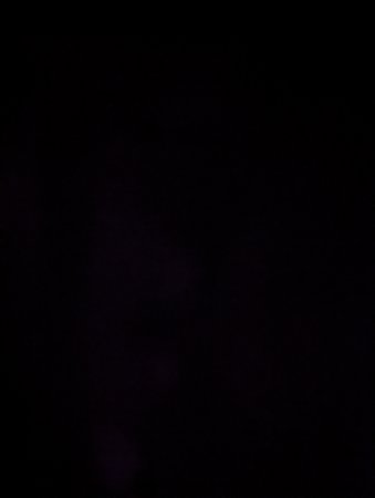 4A9EB0B1-C2D1-449A-AF64-A7A5C46718D5.jpeg