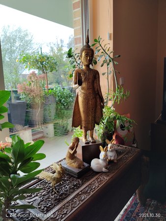 IMG_20211030_163046.jpg