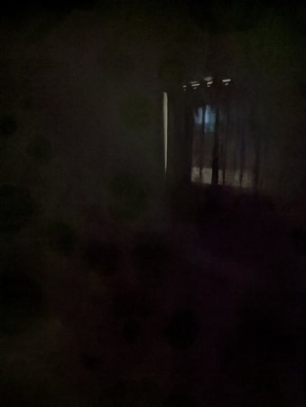 PXL_20211031_051900220.jpg