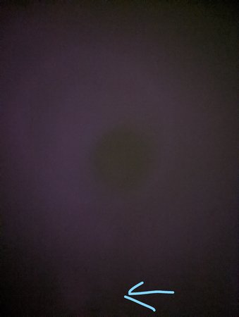 bild1.jpg