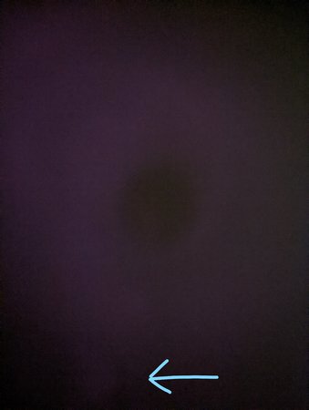 bild2.jpg