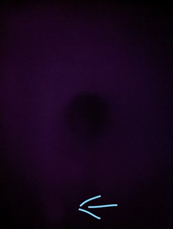 bild3.jpg
