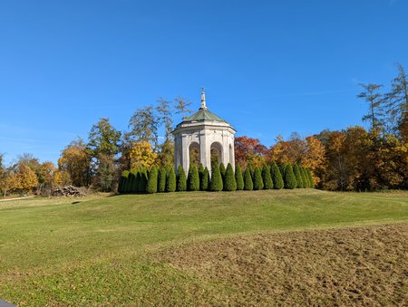 PXL_20211031_123008677.jpg