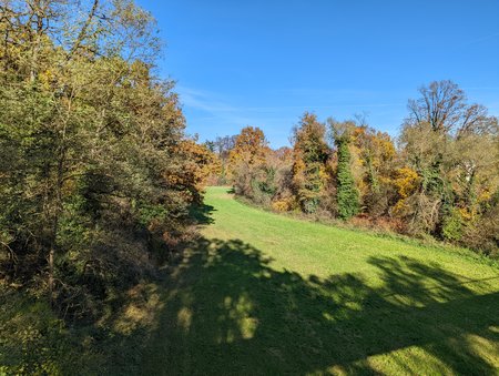 PXL_20211031_122751390.jpg