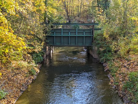 PXL_20211031_131113661.jpg