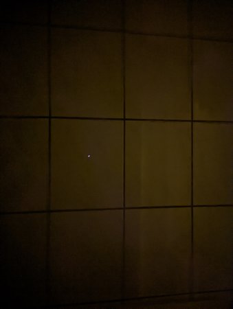 PXL_20211031_190334328.NIGHT.jpg