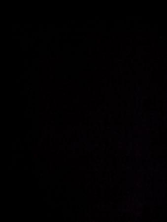 PXL_20211031_123154355.NIGHT.jpg