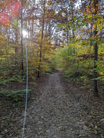 PXL_20211031_124139070.jpg