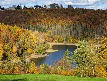 fall_2021_13.jpg