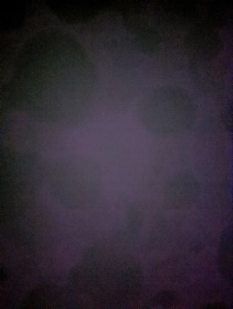 PXL_20211101_081916452.jpg