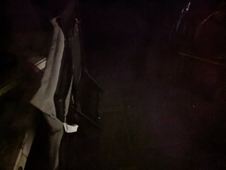 PXL_20211031_231123327.NIGHT.jpg