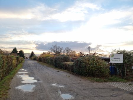 20211102_160938.jpg