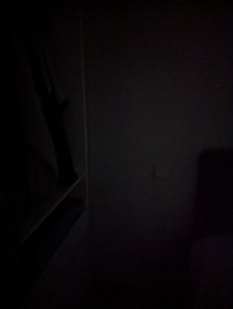 PXL_20211101_164755653.jpg