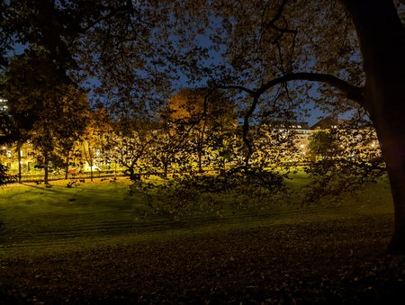 PXL_20211102_181705994.NIGHT.jpg