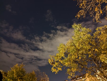 PXL_20211102_182331152.NIGHT.jpg