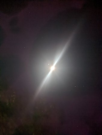 PXL_20211029_040721894~2.jpg