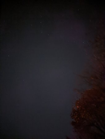 PXL_20211102_212543242.NIGHT (1).jpg