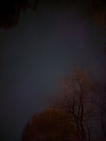 PXL_20211102_212400313.NIGHT (1).jpg