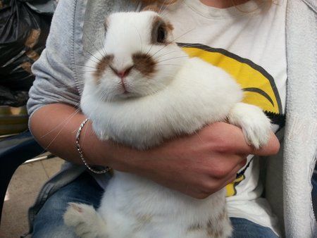2012-08-11 11.01.52.jpg