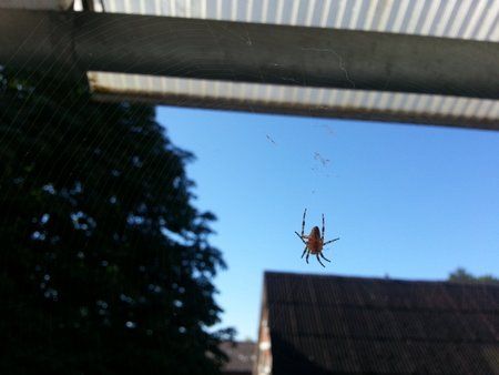 2012-08-12 09.54.36.jpg