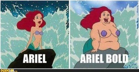 ariel-ariel-bold.jpg