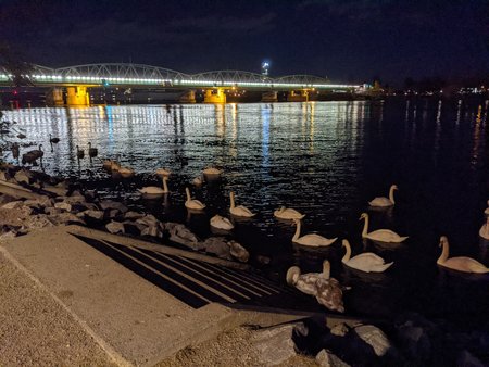 11P4.jpg