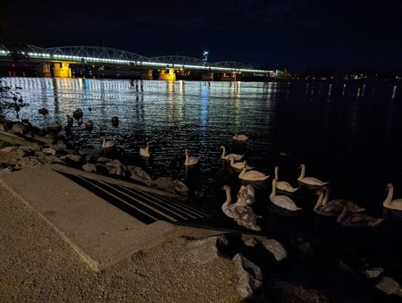 11P6.jpg