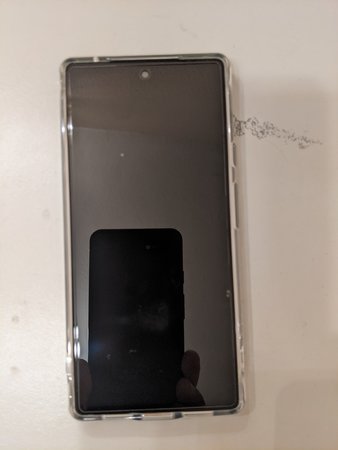 PXL_20211106_180212362.jpg