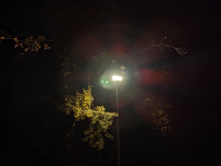 PXL_20211107_163543523.NIGHT.jpg