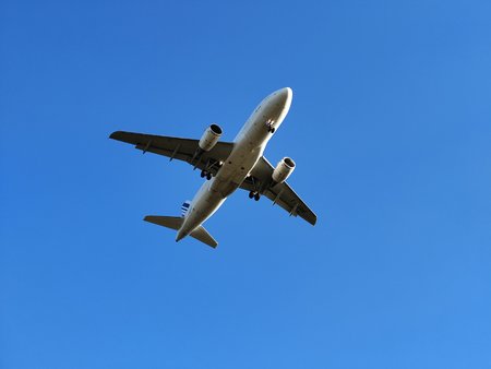 IMG_20211108_142510.jpg