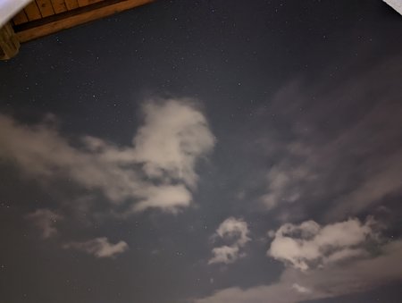 PXL_20211108_191257639.NIGHT.jpg