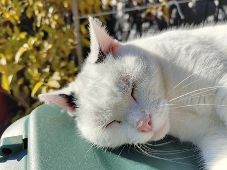 IMG20211109105633.jpg
