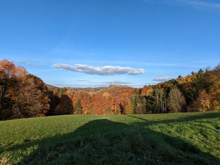 PXL_20211109_132557074.jpg