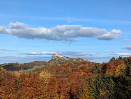 PXL_20211109_132211120.jpg